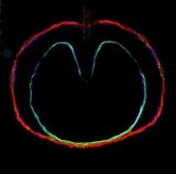 XTC - Wasp Star (Apple Venus, Pt. 2)