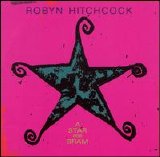 Robyn Hitchcock - A Star For Bram EMU