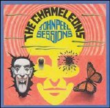 The Chameleons - Peel Sessions