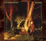 Echo & The Bunnymen - Crocodiles [Remastered]