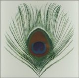 XTC - Homespun