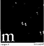 Mogwai - Ten Rapid: Collected Recordings 1996-1997 EMU