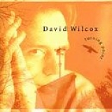David Wilcox - Turning Point