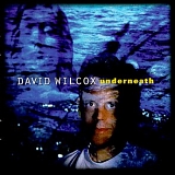 David Wilcox - Underneath