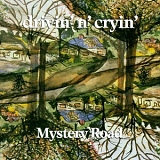 Drivin 'N' Cryin - Mystery Road