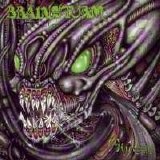 Brainstorm - Hungry