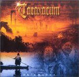 Taraxacum - Rainmaker