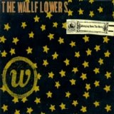 Wallflowers - Bringing Down The Horse