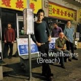 Wallflowers - Breach