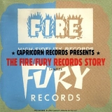 Various artists - The Fire/Fury Records Story
