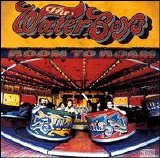 Waterboys - Room To Roam