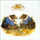 Matching Mole - Matching Mole