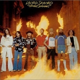 Lynyrd Skynyrd - Street Survivors