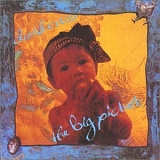 David Cross - Big Picture