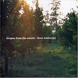 Oren Ambarchi - Grapes from the Estate