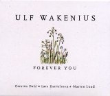 Ulf Wakenius - Forever You