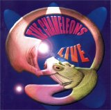 The Chameleons - Live At The Academy