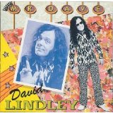 David Lindley - Mr. Dave