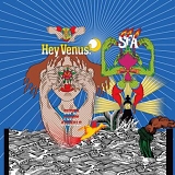 Super Furry Animals - Hey Venus!