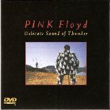 Pink Floyd - Delicate Sound Of Thunder