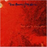 Peter HAMMILL - 1993: There Goes The Daylight