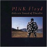 Pink Floyd - Delicate Sound of Thunder