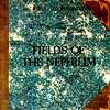 Fields Of The Nephilim - BBC Radio 1 Live