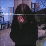 Porcupine Tree - Shesmovedon (Limited Edition)