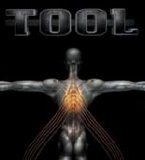Tool - Salival