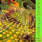 Screaming Trees - Invisible Latern