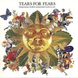 Tears For Fears - Tears Roll Down (Greatest Hits 82-92)