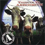 Various artists - Not The Same Old Song And Dance - Tribute To Aerosmith