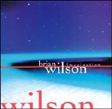 Brian Wilson - Imagination