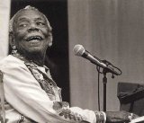 Champion Jack Dupree - Blues Roots - Vol. 8