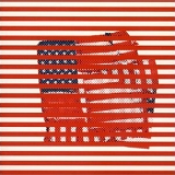 Tortoise - Standards