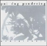 Poi Dog Pondering - Pomegranate