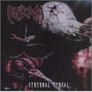 Pyamia - Cerebral cereal