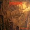 Desultory - Forever gone