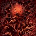 Death reality - Fleesh still feeds