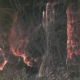 Grave - into the grave