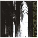 Pyogenesis - Pyogenesis