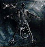 Devilyn - Reborn In Pain