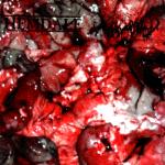 Exhumed / Hemdale - In The Name Of Gore