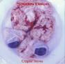 Sanitys Dawn - Cryptic menu