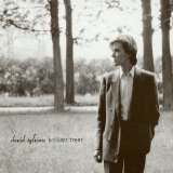 David SYLVIAN - 1984: Brillant Trees