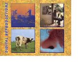 Pink Floyd - Something From Nothing