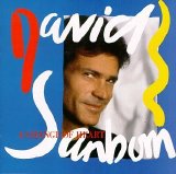 David Sanborn - A Change of Heart