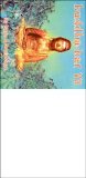 buddha bar - Buddha Bar VII