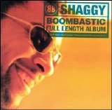 Budda Junky Swan / Shaggy - Boombastic