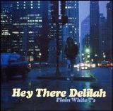 Plain White T's - Hey There Delilah